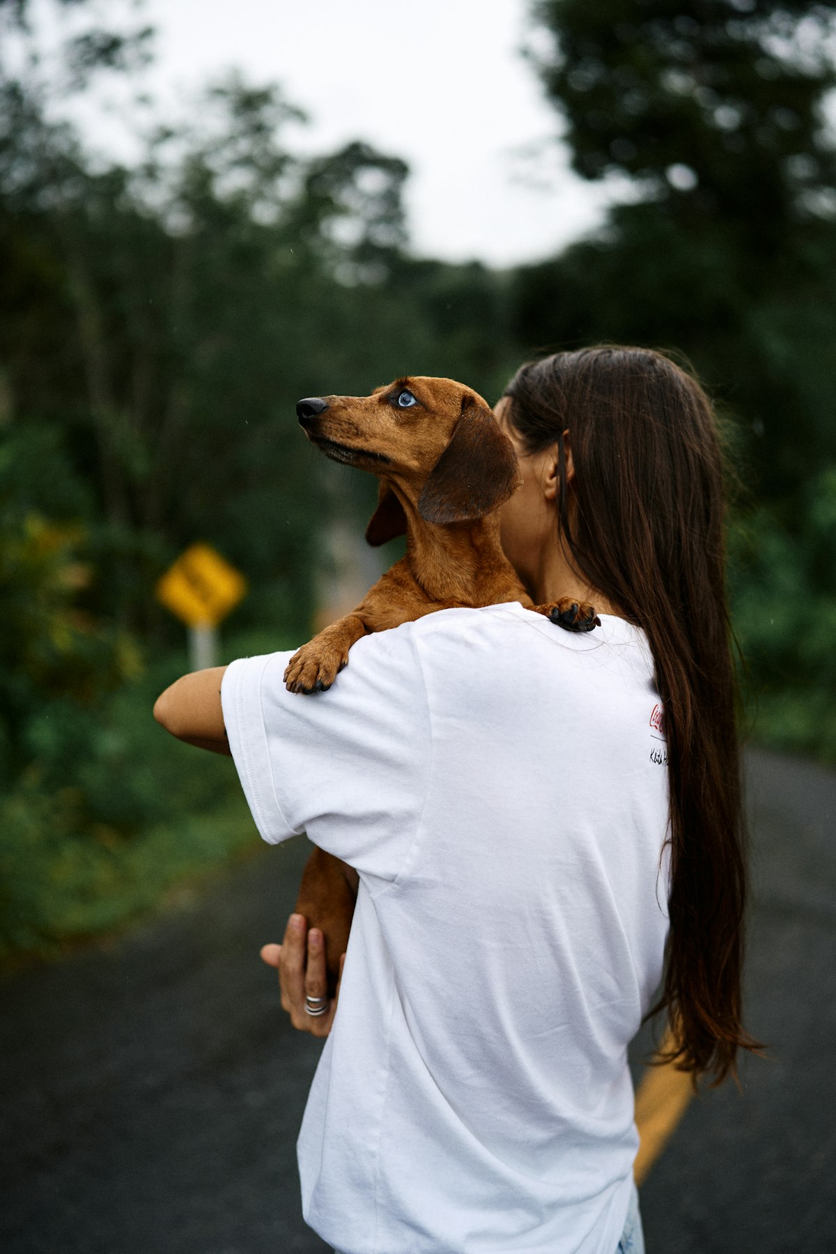 Custom Pet Shirt: Why Embroidery Is the New T-Shirt Print